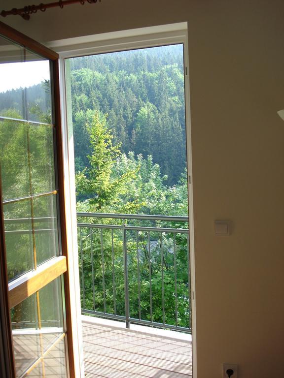 Horske Apartmany Jeseniky มาลา โมราฟกา ห้อง รูปภาพ